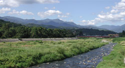 万力公園・万力林(甲府盆地東の治水の要)